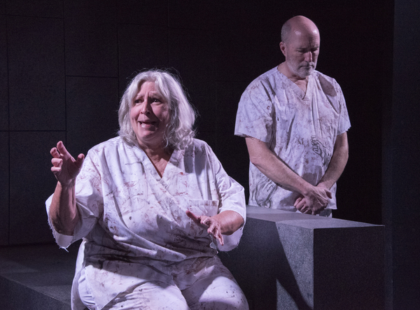 Photo Flash: Firehouse Theatre Presents SONGS FROM BEDLAM Image